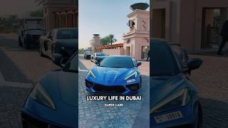 Luxury Life in Super Cars in Dubai #luxurycar #dubailife #dubailifestyle #supercar #supercars