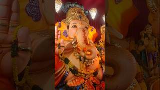 #bappa #bappalover#viralshort  #bappavisarjan #ganeshutsav #trending #ytshorts #festival