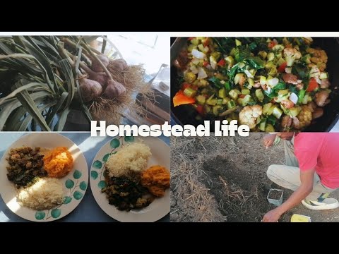 Our simple homestead life | cooking |preserving | compost update