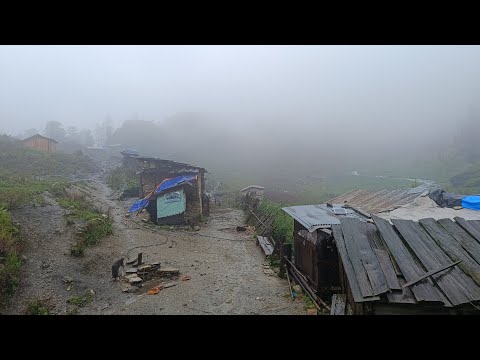 This is Himalayan Life | Rainy Day in Village | Nepal🇳🇵|Ep- 341| Jiree Village |VillageLifeNepal