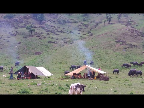 Organic Nepali Mountain Village Life in Nepal ।Beautiful & Relaxation Shepherd Life in Highland Area