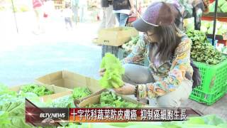 20130913 十字花科蔬菜防皮膚癌 抑制癌細胞生長