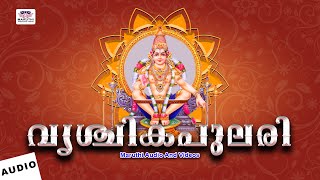 അയ്യപ്പഭക്തിഗാനം  | VrischikaPulari | HinduDevotionalSong | ayyappa bhakthi ganangal