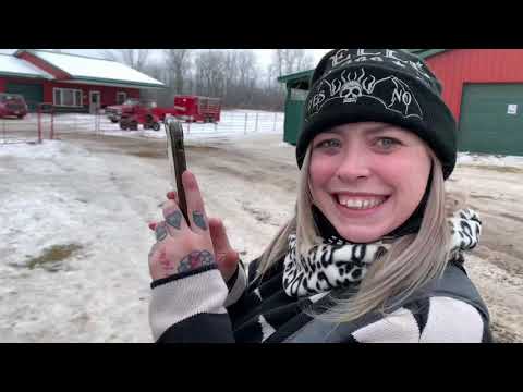 Rooftop Landing Reindeer Farm!!!