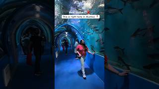 India’s Largest Underwater Fish Tunnel Expo happening in Borivali