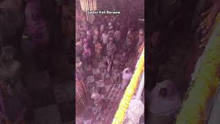 Ladoo Holi Barsana#holi#radheradhe#likeandsubscribe#popular#viralshorts#barsanavrindavandarshan1