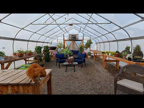 Cleaning Out the Greenhouse! (It Was Such a Mess!) 🙌🪴💚 // Garden Answer