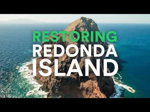 Rewilding Redonda Island - Antigua and Barbuda