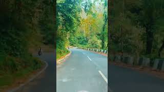 SILIGURI TO KURSEONG by ROAD 😍❤️#siliguri #kurseong #mountains #darjeeling#travel#pjrvlogs