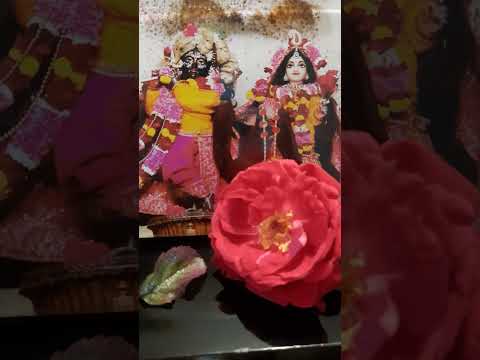 जय श्री राधे कृष्ण