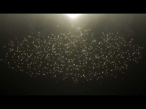 Glowing Golden Dust Particles Background Looped Animation | Free HD Version Footage