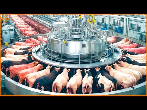 Modern Food Technology Processing Machines That Are At Another Level ▶53