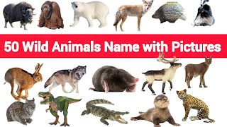 50 Wild Animals Names ! 50 जंगली जानवरों के नाम! Animals name!