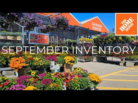 Home Depot Inventory September 2024. Ready for Fall Planting! Shrubs, Perennials, Plant Shopping!