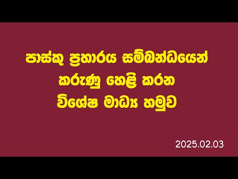 ආණ්ඩුව අළුත් තිර රචනයක.සලේ සහ ගෝඨාභය අත්අඩංගුවට.