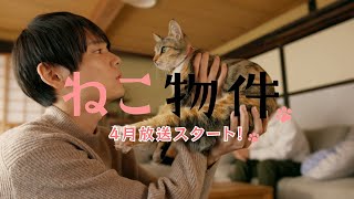 猫＆イケメンのW癒しオーラが満載！古川雄輝＆細田佳央太出演「ねこ物件」予告