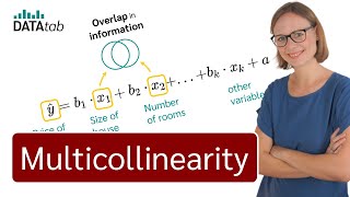 Multicolinarity - An Easy and Clear Beginner’s Guide