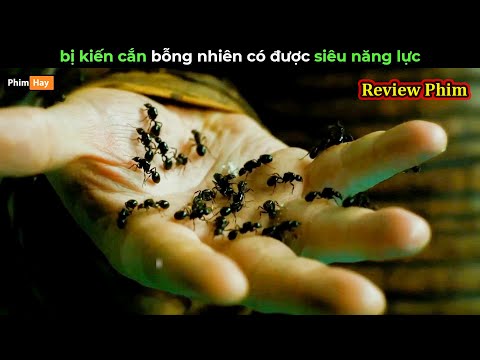 bị kiến cắn bỗng nhiên có được siêu năng lực - Review phim Hiệp Sĩ Kiến