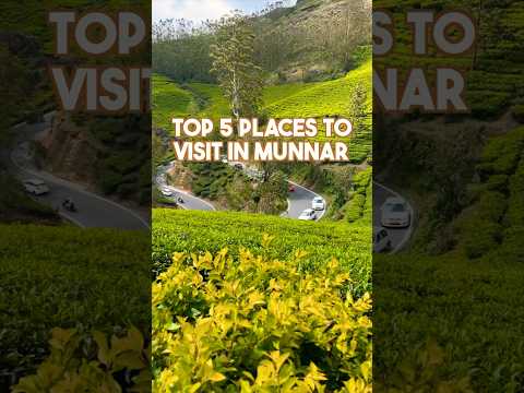 Top 5 Must-Visit Attractions in Munnar: Unforgettable Experiences in Kerala's Hill Station #shorts