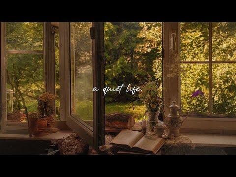 a comfort playlist for a quiet moment