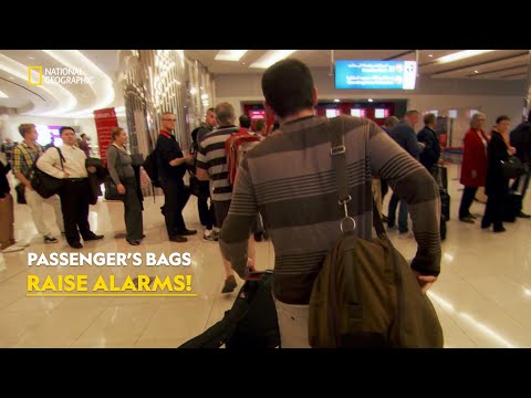 Luggage Mystery & Airport Operations | Ultimate Airport Dubai | हिन्दी | S2 - E8 | Nat Geo