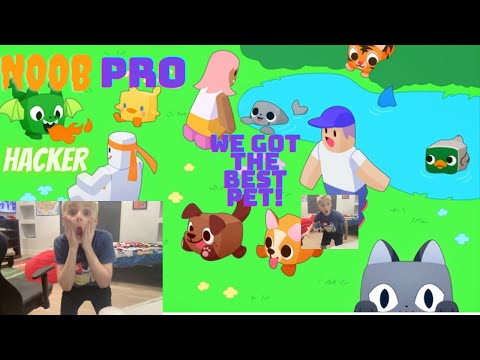 WE GOT THE BEST PET IN PET SIMULATOR X! (Noob to Pro To Hacker)