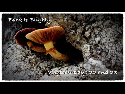 Vlogtober 2023 - Day 22&23