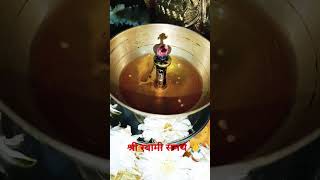 #swamidarshan#akkalkot #shreeswamiadhar#datta #swamisamarth #akalkotswamisamarth#swami #viral#short