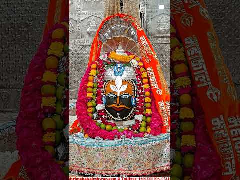 श्री महाकालेश्वर ज्योतिर्लिंग जी के संध्या काल के दिव्य दर्शन 19.02.2025 #ujjainmahakaal