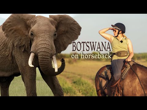 Meeting Elephants on Horses ~ Botswana Safari (Part 1)