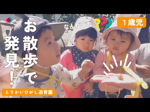 【1歳児】お散歩で発見！