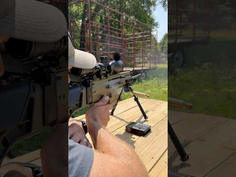 The ADULT DMR | FN SCAR 17s DMR #shorts #gunreview #shootingrange