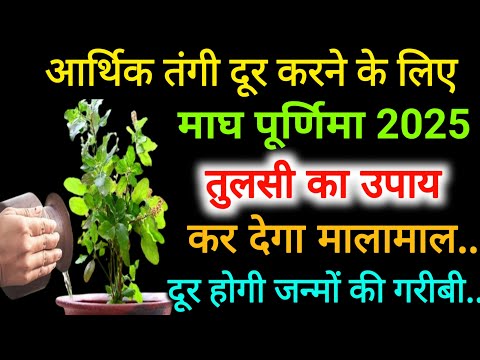 आर्थिक तंगी को दूर करने के लिए माघ पूर्णिमा पर करें तुलसी का उपाय | Maagh Purnima 2025 |