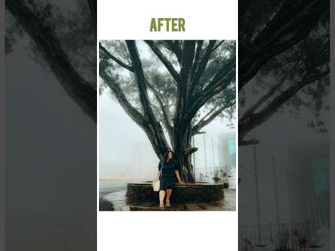 Portrait Lightroom Preset Mobile Free Preset #shorts  #freepreset  #lightroompresets