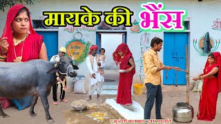 मायके की भैंस || Mayke ki bhains || Bundeli comedy || the bundeli kalakar