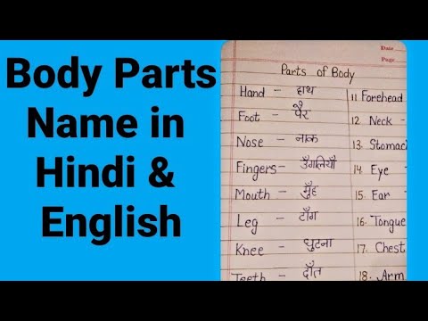 20 Body Parts Name in Hindi and English | शरीर के अंगों के नाम हिंदी व अंग्रेज़ी में | #OM STUDIES