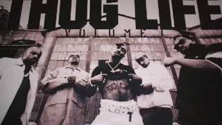 2pac Thug Life full album