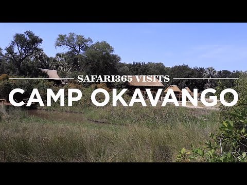 Camp Okavango, Okavango Delta | Safari365