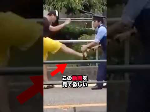 外国人を一瞬にして制圧する日本人警察官#shorts #shortvideo #海外の反応 #日本 #外国人 #警察官 #柔道