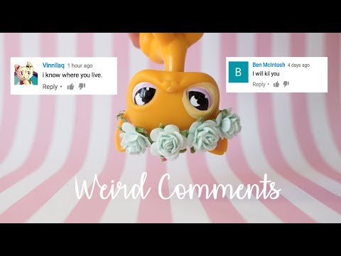 LPS Weird Comments #3 *Show Your Face & The Crazy Brother*