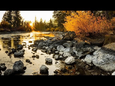 4K RELAX to the sound of a Mountain Stream