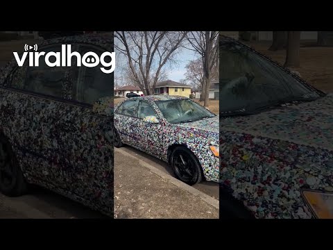 Trio Of Sticker Cars || ViralHog