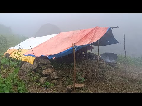 Beautiful And Relaxing Nepali Mountain Village Lifestyle in Rainy Time | Shepherd Food Cooking