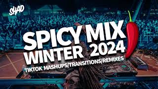 SPICY MIX WINTER 2024 - TIK TOK MASHUPS/TRANSITIONS/REMIXES