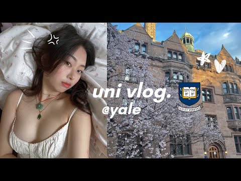 week in my life @ yale ₊˚🐰🎐༉₊˚ | productive study days, good food, and birthday vlog!!