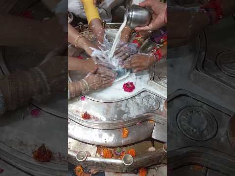 #ujjain #religion #mangal #puja #astrology #shorts #mahakal #live #shortvideo #youtubeshorts #art