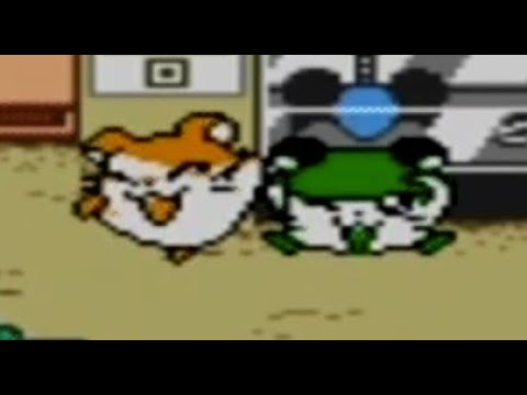 Hamtaro: Ham-Hams Unite! Playthrough Part 3 (Penelope and Cappy!)