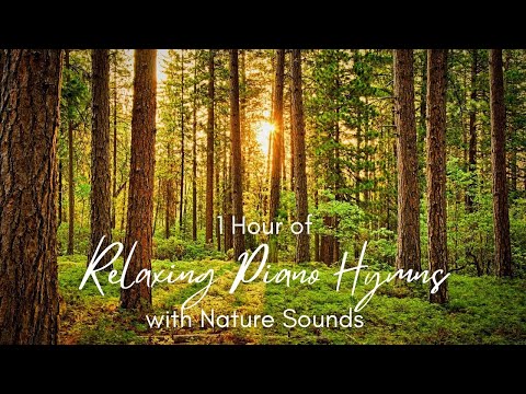 1 Hour of Relaxing Piano Hymns with Nature Sounds