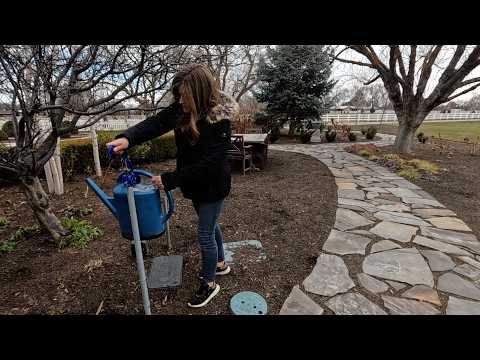 How & Why I Water Outside in Winter (+ Planting 3 Annuals from Seed)! 💦🌸🌿 // Garden Answer