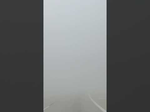 Have you ever been in a fog this thick? #fog #nature #roadtrip #roadconditions #explore #clouds